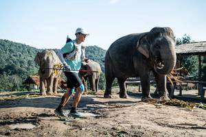 BIB: 
                            <button type="button" onclick="openModal(22423628)" class="btn btn-primary btn-sm float-right btn-popup" data-toggle="modal" data-target=".modal-high-quality">
                        <i class="fas fa-shopping-cart"></i> Add to Cart
                    </button>
                                            <button type="button" onclick="isThisMe(22423628, true)" class="btn btn-success btn-sm float-right btn-popup btn-isme hidden" data-toggle="tooltip" data-placement="bottom" title="นี่คือรูปของคุณใช่ไหม คลิกที่นี่เพื่อเอาเข้าอัลบั้ม">
                        <i class="fas fa-plus"></i> Add to album
                    </button>
                    <button type="button" onclick="isThisMe(22423628, false)" class="btn btn-warning btn-sm float-right btn-popup btn-isnotme hidden">
                        <i class="fas fa-ban"></i> Remove from album
                    </button>